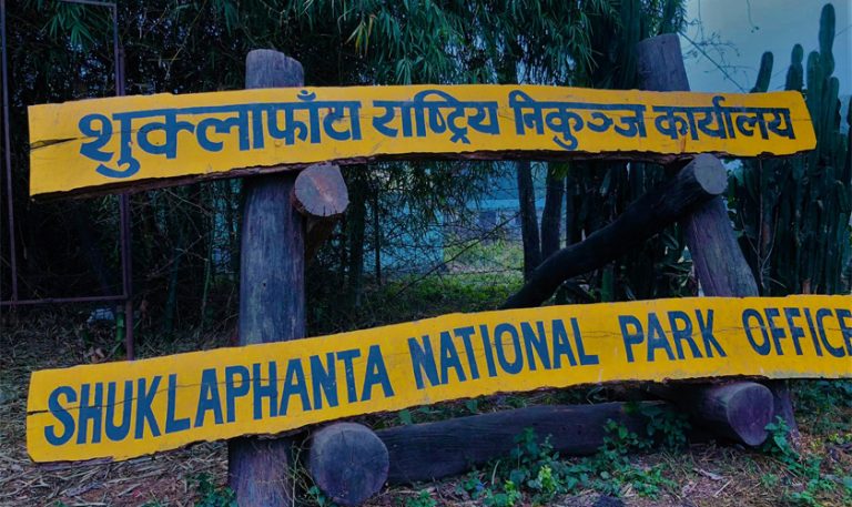 निकुञ्ज पीडितको दुखेसो : ‘दलका चुनावी एजेण्डा मात्रै बन्यौँ’