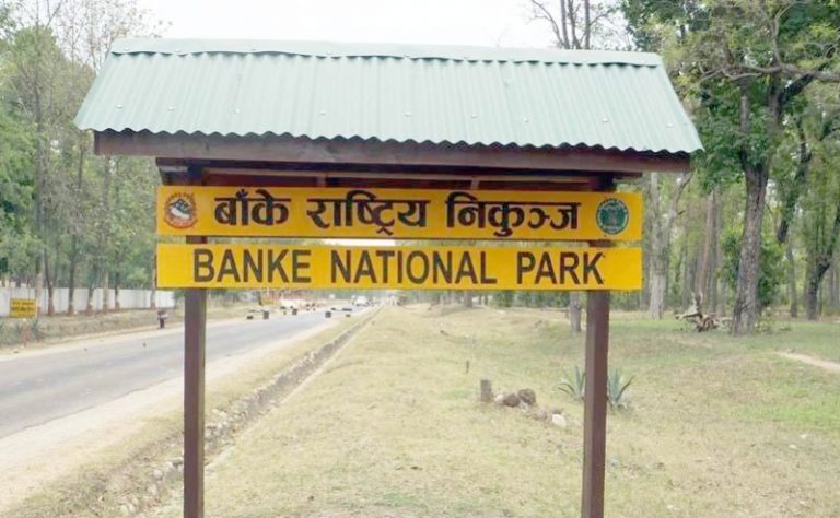 निकुञ्ज भित्रका बासिन्दालाई फोन गर्न डाँडामा पुग्नुपर्ने
